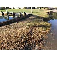 Day after the king tide Virginia Beach image